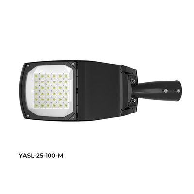 LED Road Lighting Fixtures With Dimming Driver ADC12 160lm/W